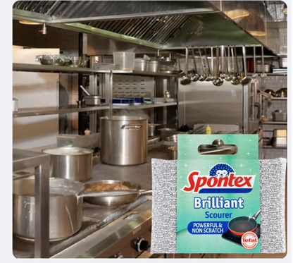 Spontex Brilliant Non Scratch Scourer