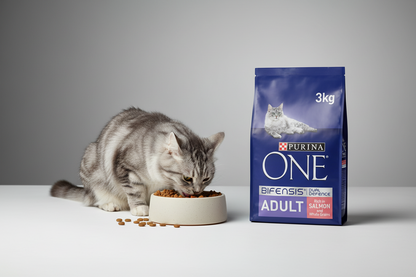 Purina ONE Adult Dry Cat Food Salmon & Wholegrain 3kg