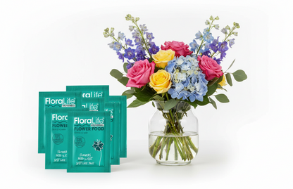 Floralife 10 x 5g Sachets | Plant food Ingredients | Retail Packed Plant food sachets
