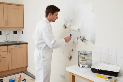 Ronseal Anti Mould Paint | White Silk | 1 x 2.5 Litre