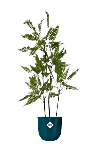 Fixtures Artificial Green Fern Tree 120-125cm