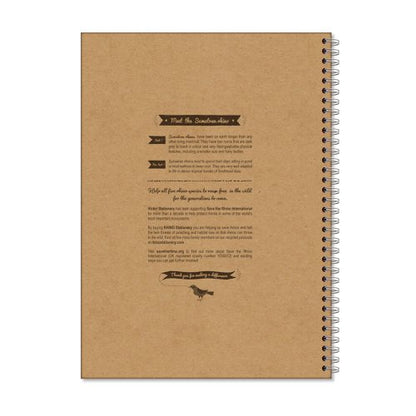Rhino Recycled Wirebound Notebook 160 Pages 8mm Ruled A4 (Pack of 5) SRTWA4