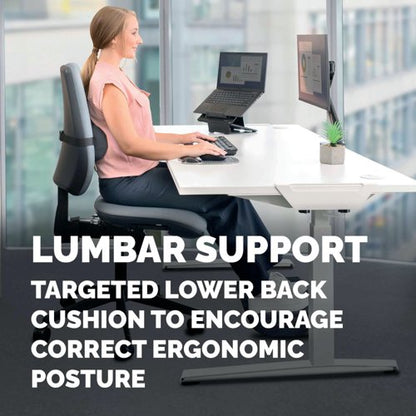 Fellowes Lumbar Cushion Black 100119853