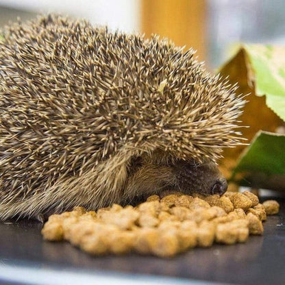 Brambles Crunchy Hedgehog Food 2Kg | Also Suitable for Badgers