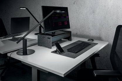 Durable Felt Monitor Riser Stand EFFECT Charcoal 508158