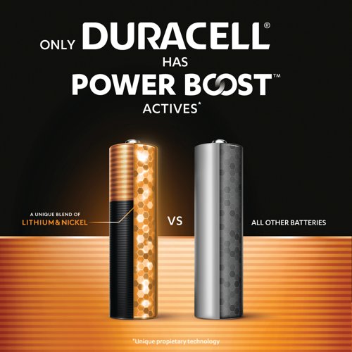 Duracell Plus AA Batteries with Power Boost (Pack of 24) 5019178