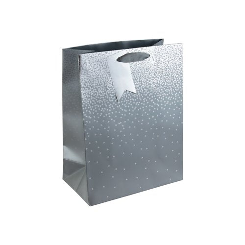 Eurowrap Gift Bag Stars on a Silver Background Large (Pack of 6) 30864-2C