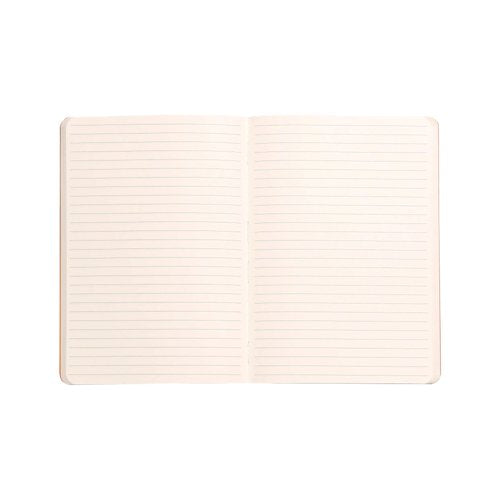 Clairefontaine Rhodiarama Notebook 80 Lined Pages A5 Silver Cover 117401C