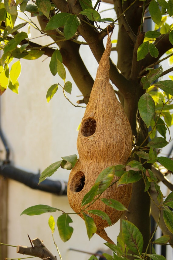 Fixtures Coir Double Bird Nest | Great Garden Feature | Organice and Eco Friendly