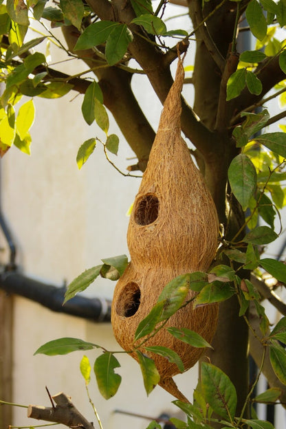 Fixtures Coir Double Bird Nest | Great Garden Feature | Organice and Eco Friendly