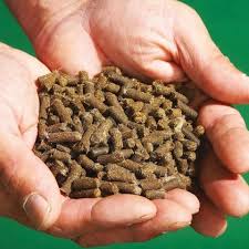 Doff Slugs Be Gone Wool Pellets | 1 Litre Slug & Snail Deterrant