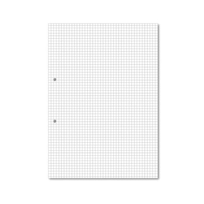 Hamelin Loose Leaf Paper 5mm Squared 1000 Page Punched 2 Hole A4 (Pack of 5) 100103318