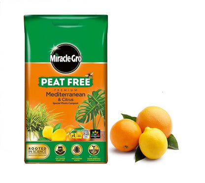 Miracle-Gro Peat-Free Premium Mediterranean & Citrus Plant Compost, 10L