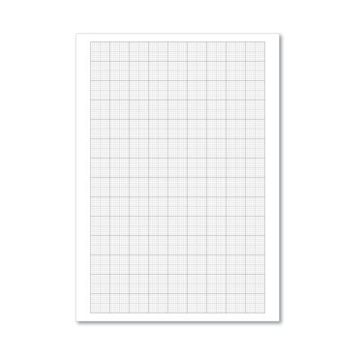 Loose Leaf Graph Paper A4 (500 Pack) 100103410