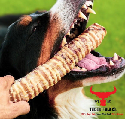 The Buffalo Co. Buffalo Trachea Rounds for Dogs | 100% Natural Grass-Fed Dog Treats | 1 x 100g