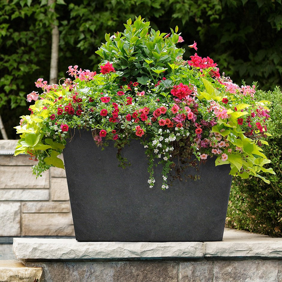Primeur Sonata Trough 50Cm Slate P00018393