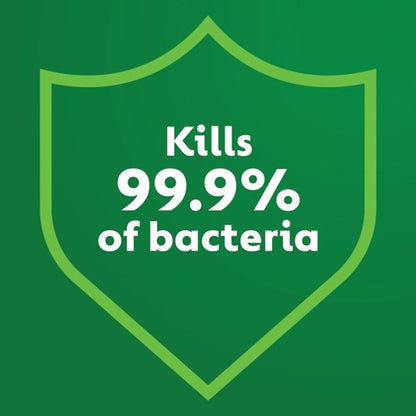 Dettol Concentrated Disinfectant Eucalyptus + Mint 3319738