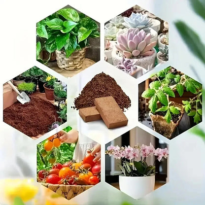 Coir Potting Mix Bricks  | 100% natural and biodegradable | 10 x650g