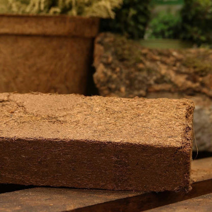 Coir Potting Mix Bricks  | 100% natural and biodegradable | 10 x650g