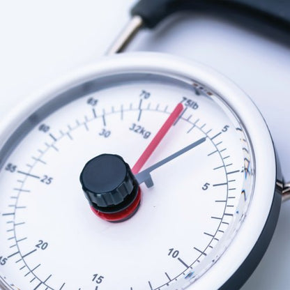 Status Mechanical Luggage Scales SMLSCALE1