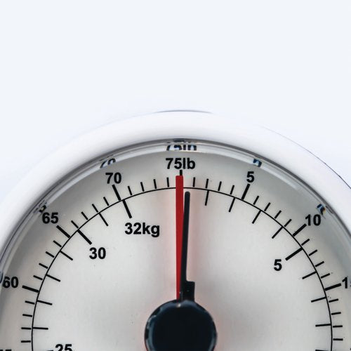 Status Mechanical Luggage Scales SMLSCALE1