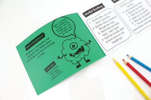 Silvine Primary Mindfulness Journal KS2 Class A5 Green (Pack of 30) EX233