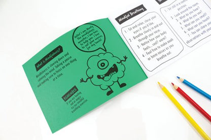 Silvine Primary Mindfulness Journal KS2 Class A5 Green (Pack of 30) EX233