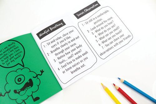 Silvine Primary Mindfulness Journal KS2 Class A5 Green (Pack of 30) EX233
