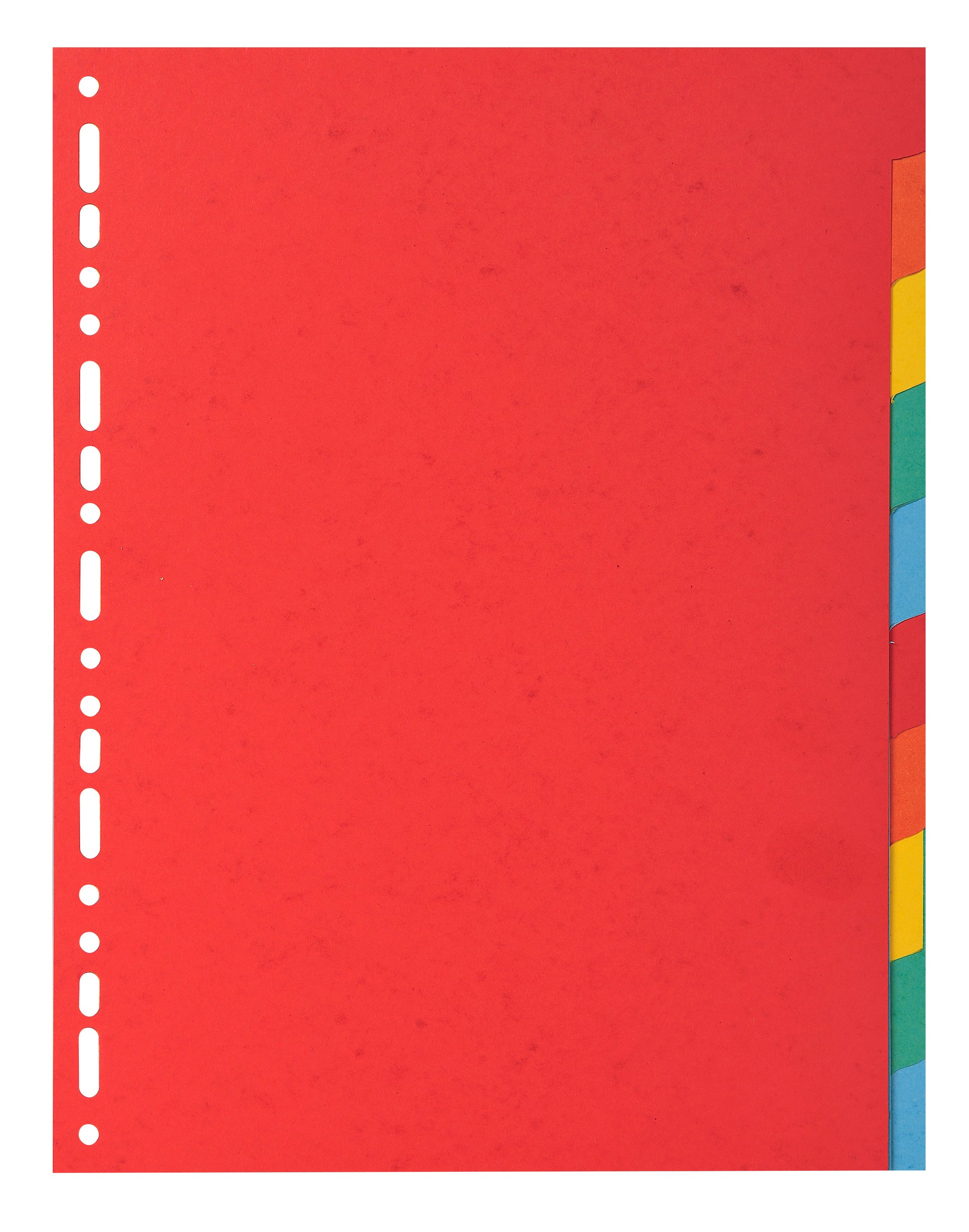 Exacompta Forever Recycled Divider 10 Part A4 220gsm Card Vivid Assorted Colours - 2010E - NWT FM SOLUTIONS - YOUR CATERING WHOLESALER