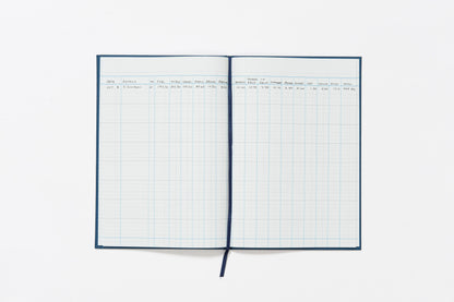 Guildhall Account Book Casebound 298x203mm 16 Cash Column 80 Pages Blue 31/16Z