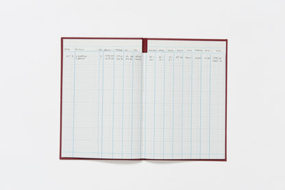 Guildhall Headliner Account Book Casebound 298x203mm 12 Cash Columns 80 Pages Red - 38/12Z