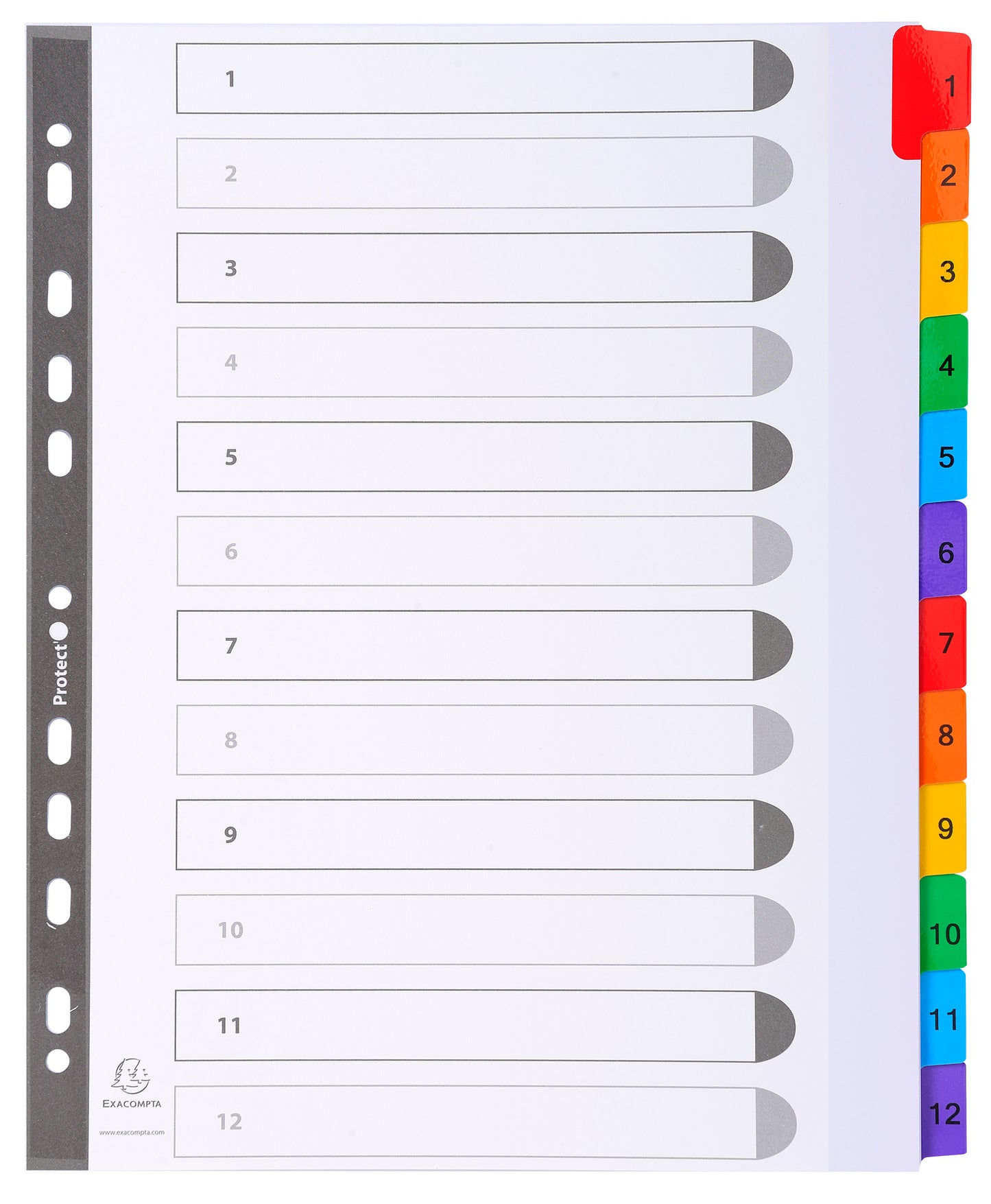 Exacompta Index 1-12 A4 Extra Wide 160gsm Card White with Coloured Plastic Tabs - 4112E