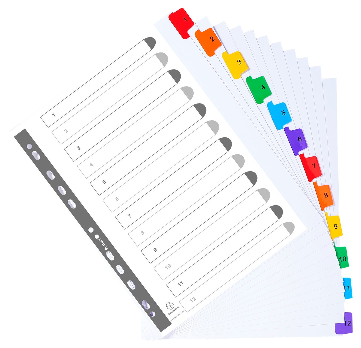 Exacompta Index 1-12 A4 Extra Wide 160gsm Card White with Coloured Plastic Tabs - 4112E