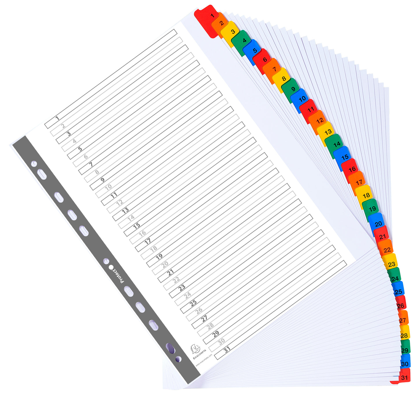 Exacompta Index 1-31 A4 Extra Wide 160gsm Card White with Coloured Mylar Tabs - 4131E