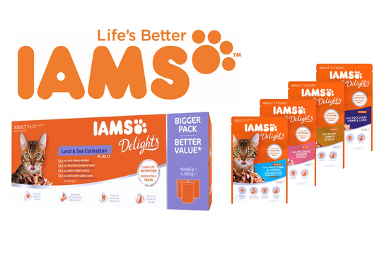 IAMS Delights Adult Cat Land & Sea Collection in Jelly 12x85g - NWT FM SOLUTIONS - YOUR CATERING WHOLESALER