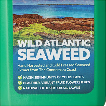 Nature Safe Wild Atlantic Seaweed 1 Litre