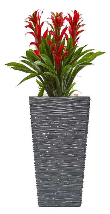 Fixtures Glaze Wave LARGE Planter {Grey}