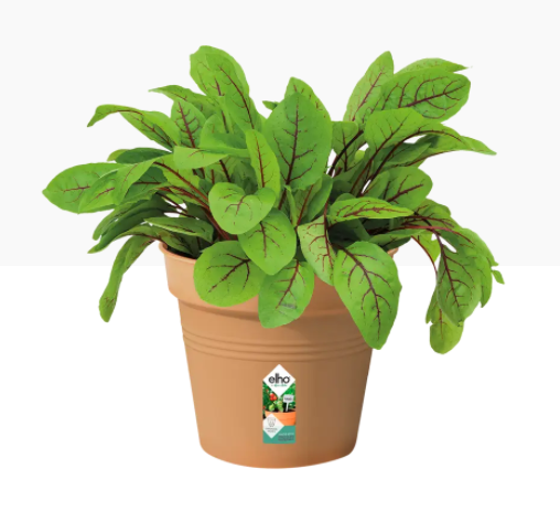 Elho Green Basics Grow Pot 13cm TERRACOTTA