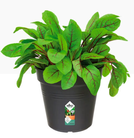 Elho Green Basics Grow Pot 13cm LIVING BLACK