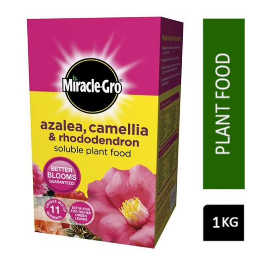 Miracle-Gro Azalea, Camellia & Rhododendron Soluble Plant Food 1kg - NWT FM SOLUTIONS - YOUR CATERING WHOLESALER