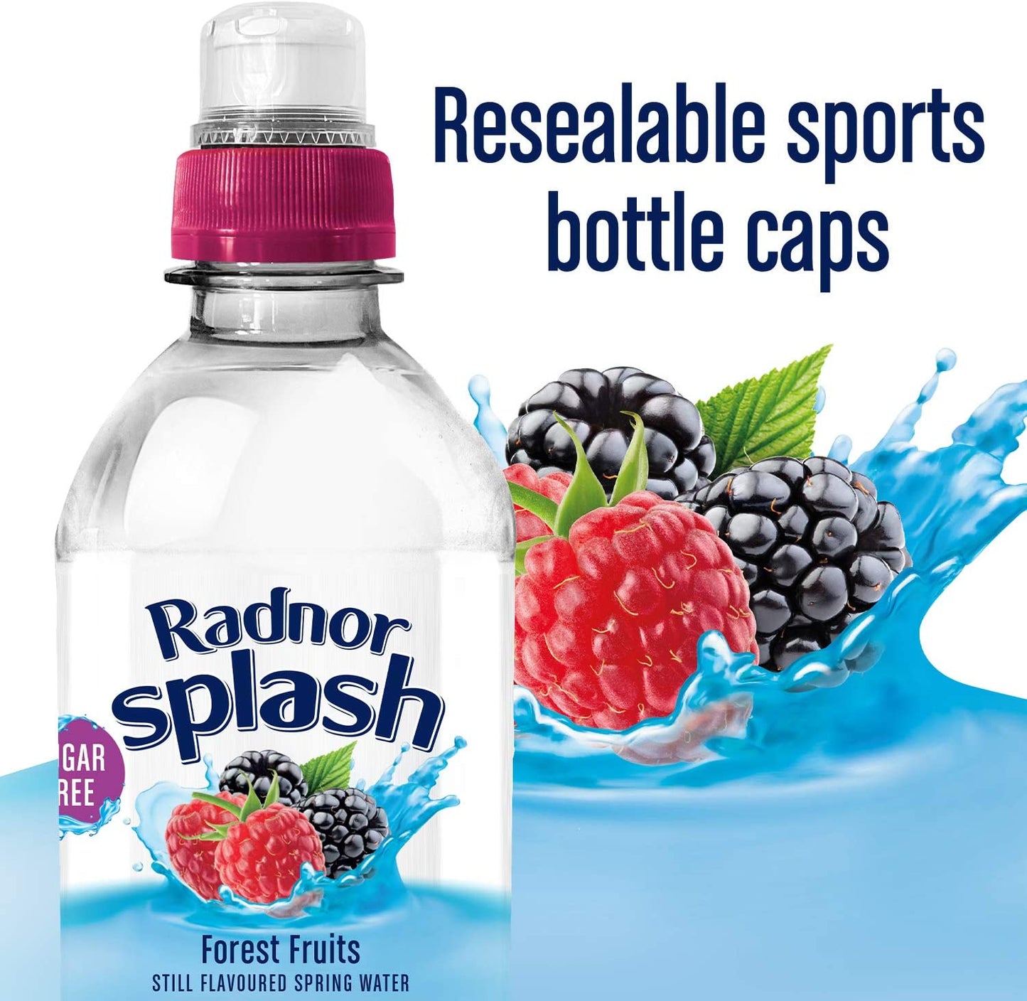 Radnor Splash Sugar Free Forest Fruits 12x500ml