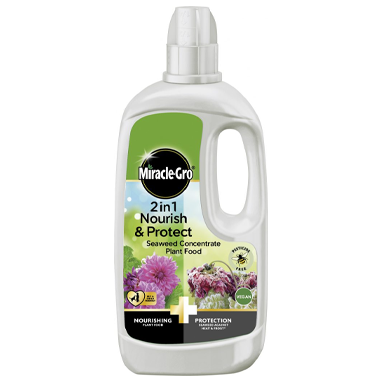 Miracle Gro Nourish & Protect Seaweed Plant Food 800ml - NWT FM SOLUTIONS - YOUR CATERING WHOLESALER