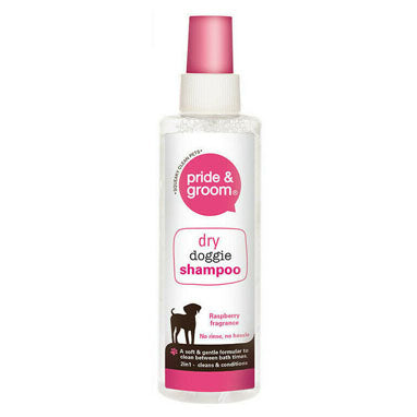 Pride & Groom Dry Shampoo Spray 200ml - NWT FM SOLUTIONS - YOUR CATERING WHOLESALER
