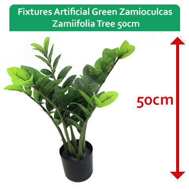 Fixtures Artificial Green Zamioculcas Zamiifolia Tree 50cm - NWT FM SOLUTIONS - YOUR CATERING WHOLESALER