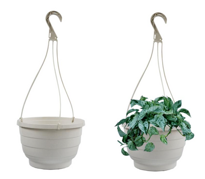 Fixtures White Hanging Basket 25cm x 16cm - NWT FM SOLUTIONS - YOUR CATERING WHOLESALER