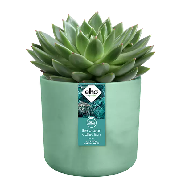 Elho PACIFIC GREEN Round Planter 16cm