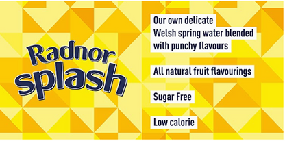 Radnor Splash Sugar Free Apple & Raspberry 12x500ml