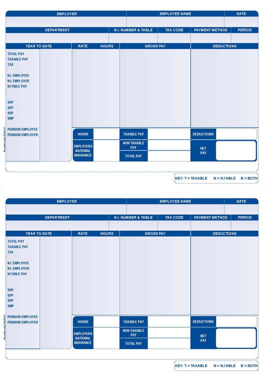 Iris Compatible A4 2 Per Sheet Payslip (Pack 1000) FY95 - NWT FM SOLUTIONS - YOUR CATERING WHOLESALER