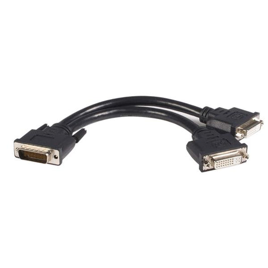 StarTech.com 8in LFH 59 to Dual DVI I DMS 59 Cable - NWT FM SOLUTIONS - YOUR CATERING WHOLESALER