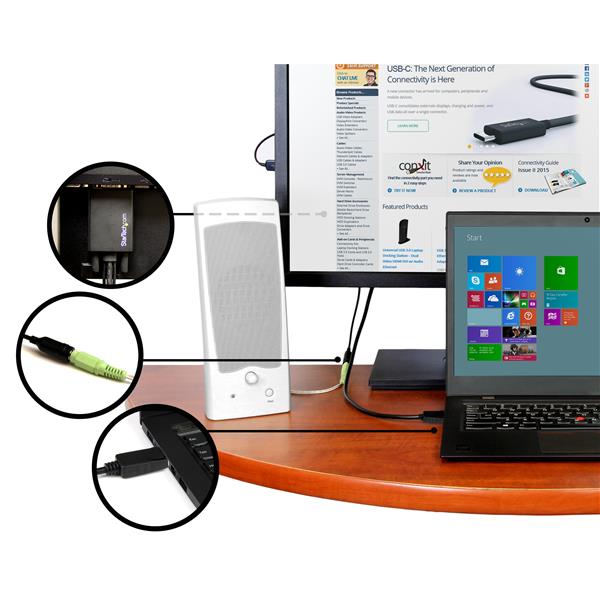 StarTech.com 3m DisplayPort to VGA Adapter